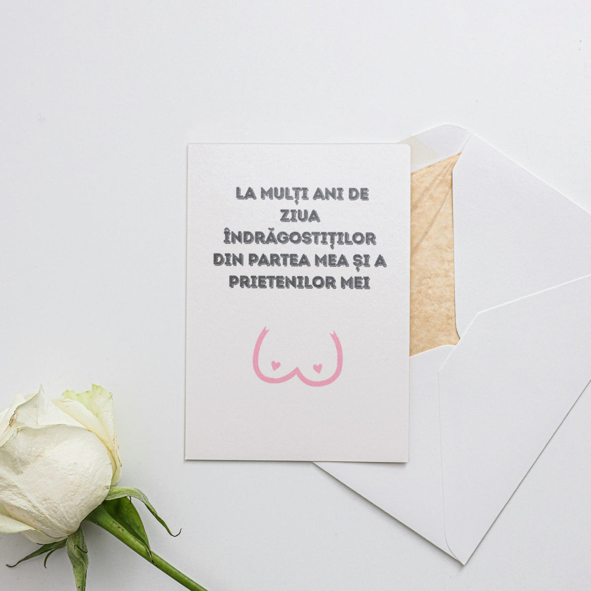 La Mulți Ani De Ziua Îndrăgostiților Din Partea Mea Și A Prietenilor Mei Felicitare