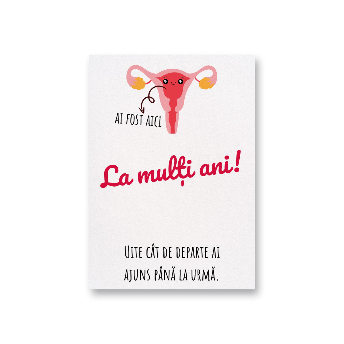 Ai Fost Aici La Multi Ani! Uite Cat De Departe Ai Ajuns Pana La Urma.