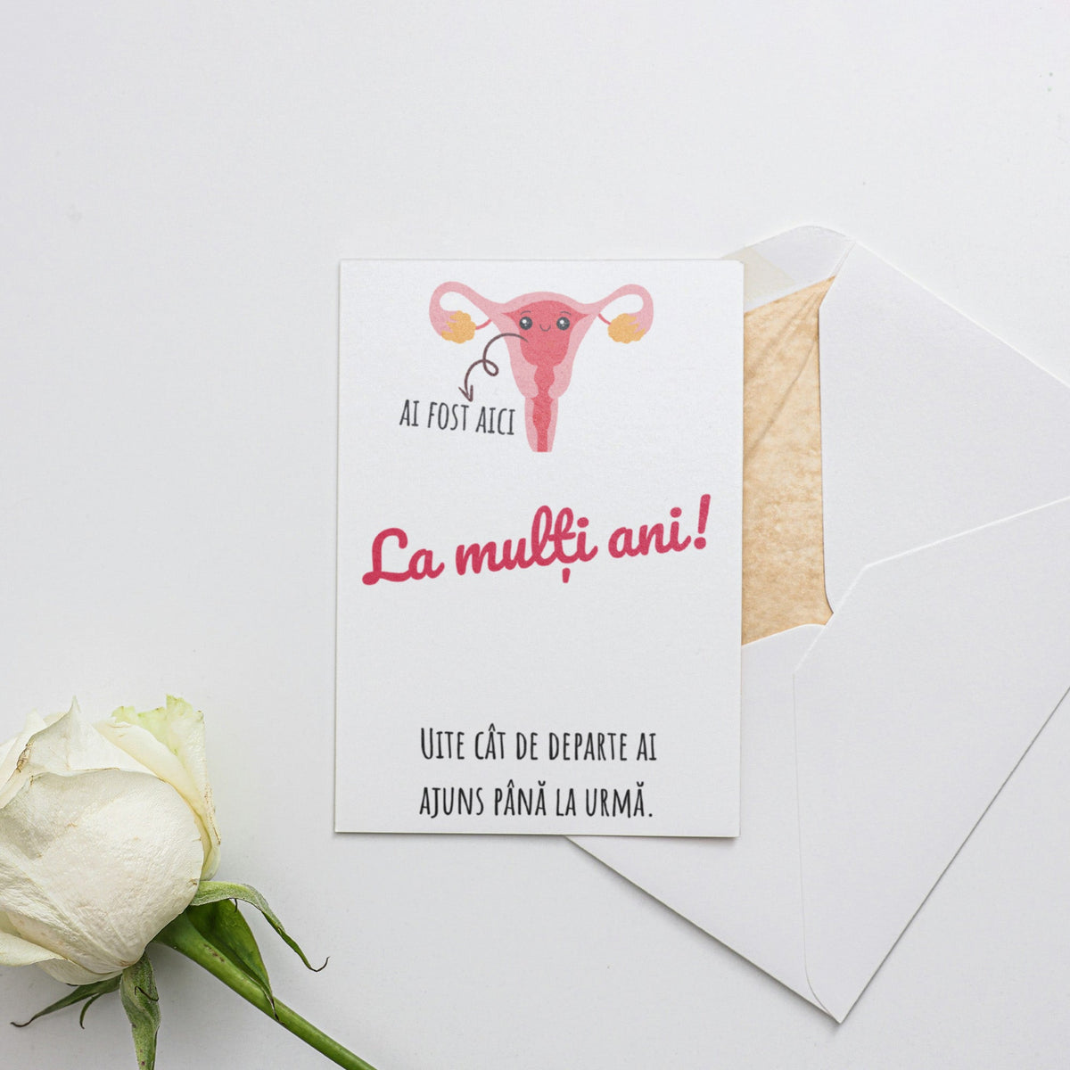 Ai Fost Aici La Multi Ani! Uite Cat De Departe Ai Ajuns Pana La Urma.