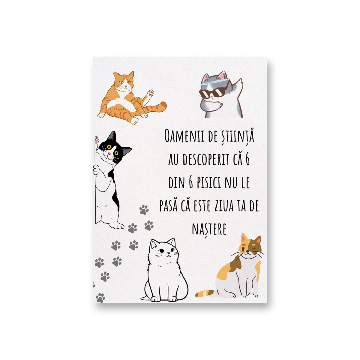 Oamenii De Stiinta Au Descoperit Ca 6 Din 6 Pisici Nu Le Pasa Ca Este Ziua Ta De Nastere