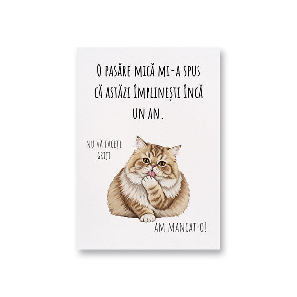 O Pasare Mica Mi-A Spus Ca Astazi Implinesti Inca Un An. Nu Va Faceti Griji. Am Mancat-O!