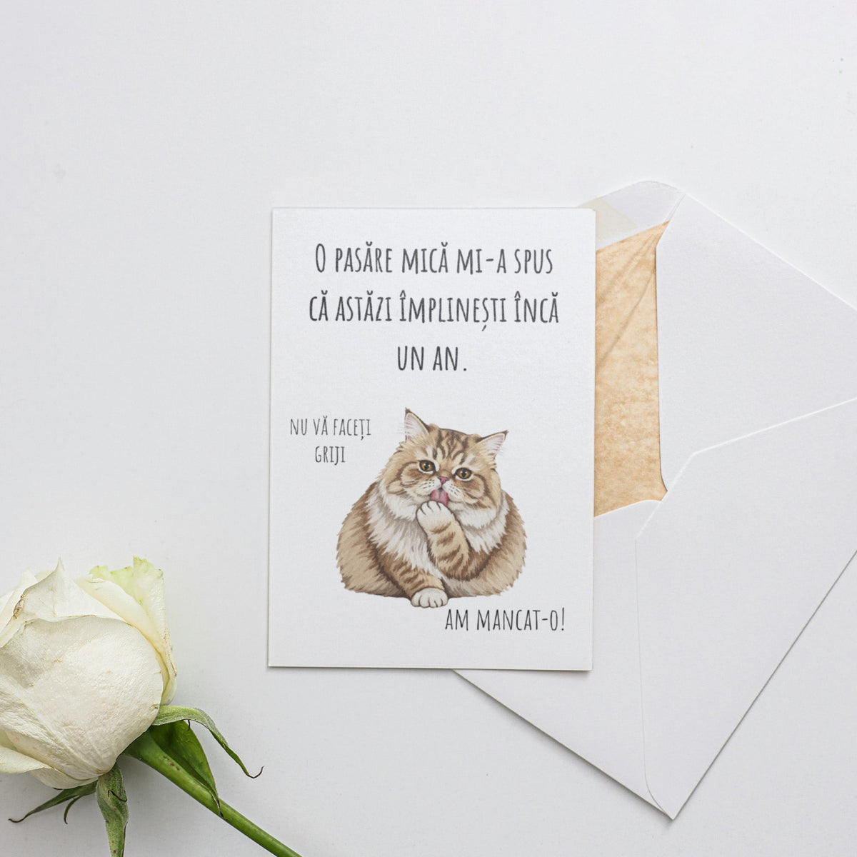 O Pasare Mica Mi-A Spus Ca Astazi Implinesti Inca Un An. Nu Va Faceti Griji. Am Mancat-O!