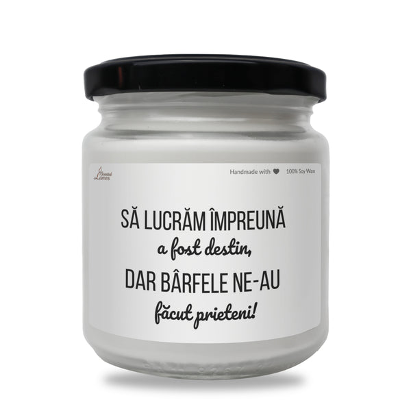 Sa lucram Impreuna a fost destin Lumanare parfumata din soia