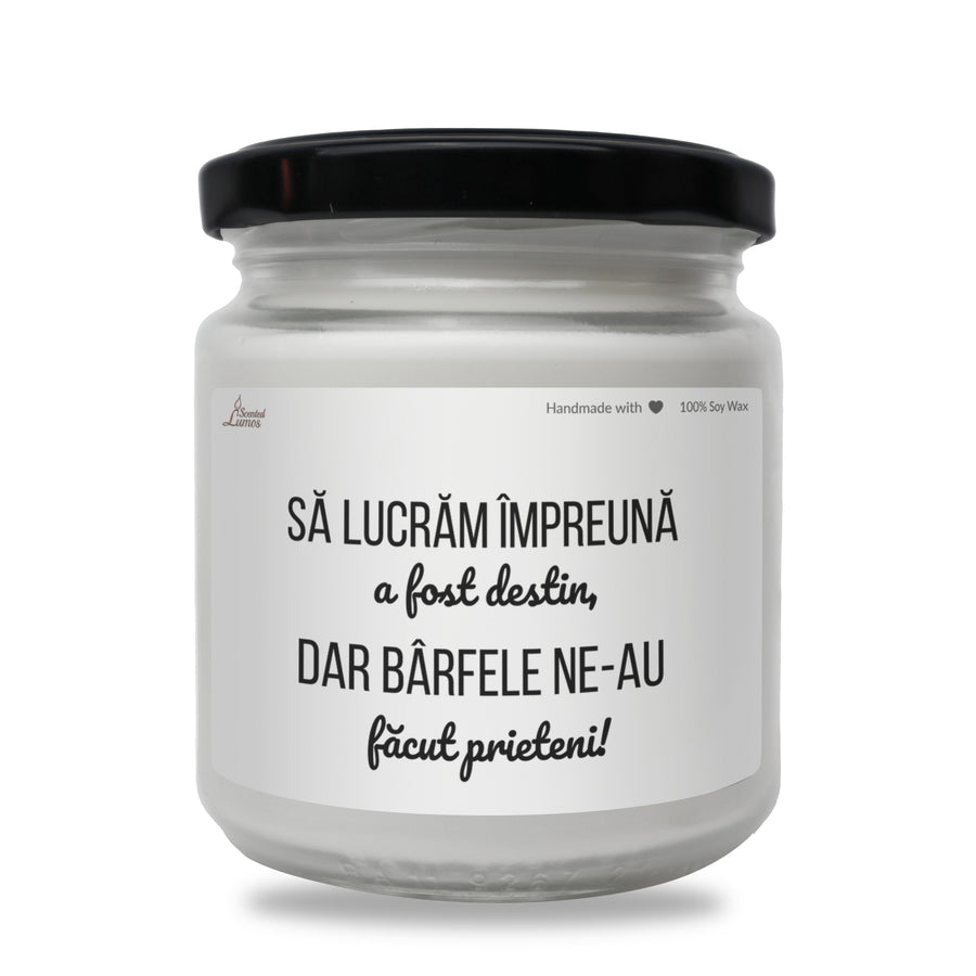 Sa lucram Impreuna a fost destin Lumanare parfumata din soia
