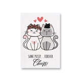 a couple of cats sitting next to each other