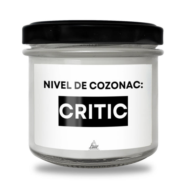 Nivel de cozonac: critic Lumânare parfumată din soia