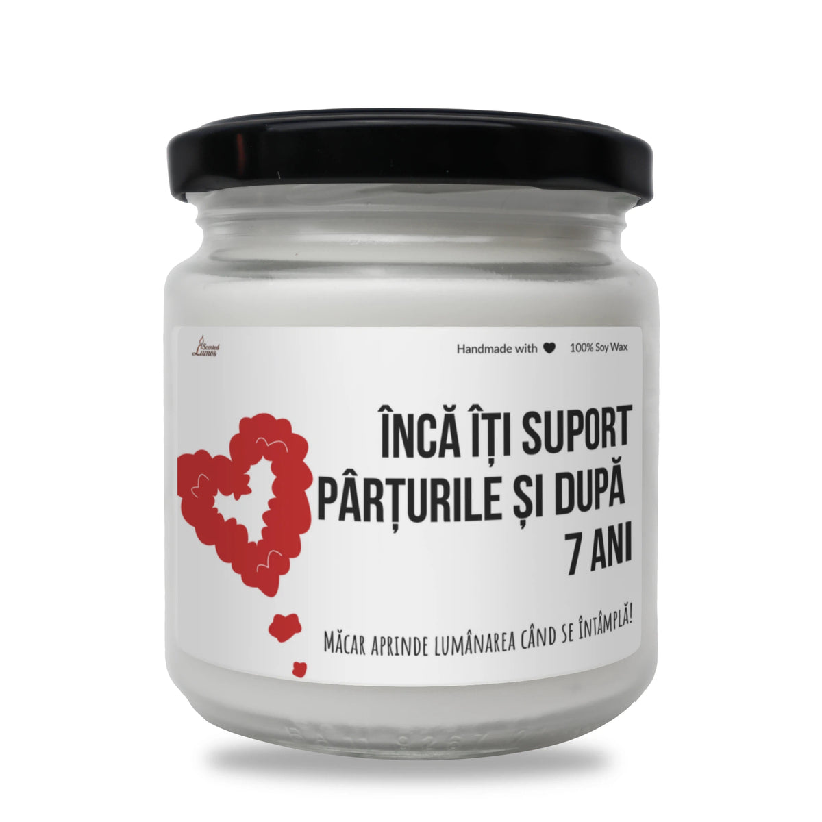 Încă îți suport pârțurile după 7 ani Lumânare parfumată din soia